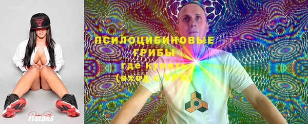 ПСИЛОЦИБИНОВЫЕ ГРИБЫ Осташков