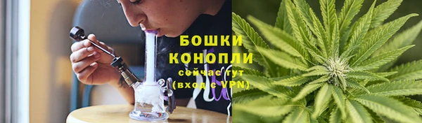 ПСИЛОЦИБИНОВЫЕ ГРИБЫ Осташков