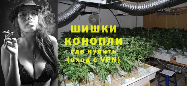 ПСИЛОЦИБИНОВЫЕ ГРИБЫ Осташков