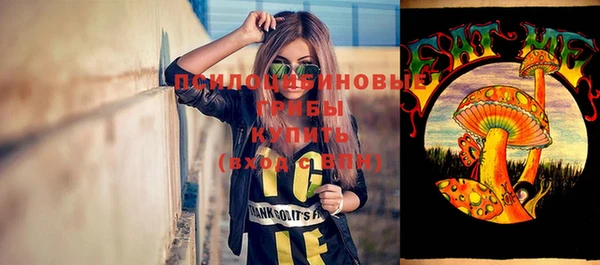 ПСИЛОЦИБИНОВЫЕ ГРИБЫ Осташков
